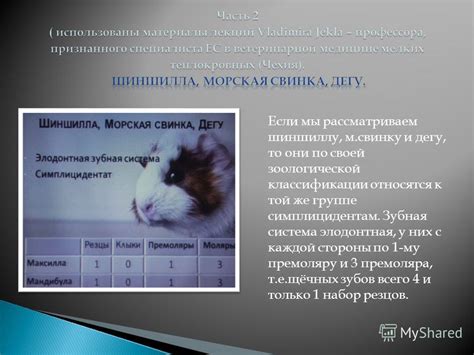 Психологическое понимание укуса представителем зоологической группы у женщины