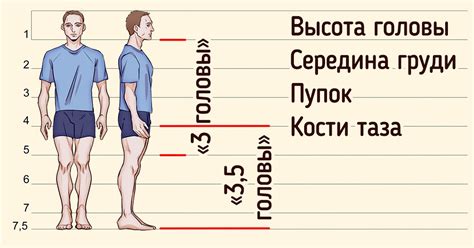 Психологическое разъяснение на сны о готовке человеческого тела