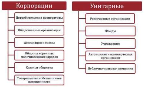 Публично-правовая компания: основные черты организации