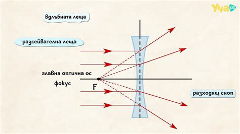 Пулинг леща: отражение на экосистему