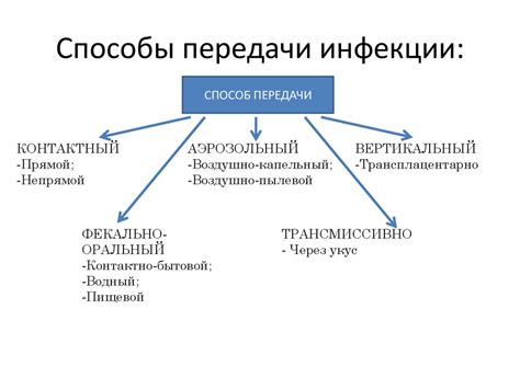 Пути передачи инфекции в организм человека