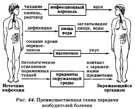 Пути передачи и распространение