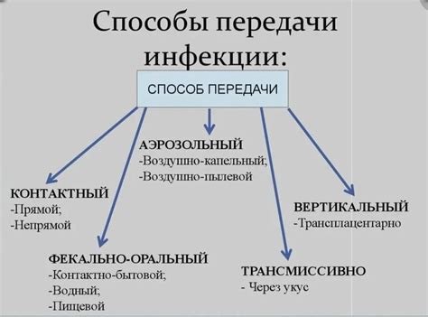 Пути передачи и распространения