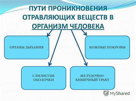 Пути попадания меркурия в организм