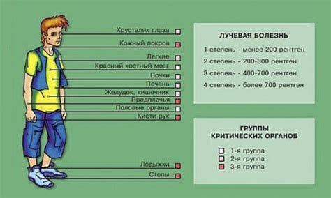 Пути проникновения рентгеновского излучения в организм человека