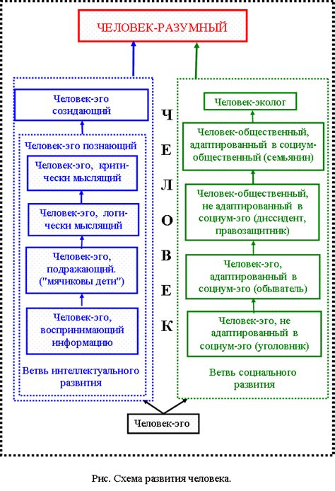 Пути развития неразумного человека