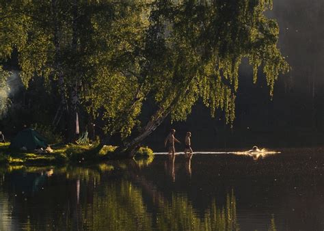 Пыльный затеплится шлях: причины и последствия