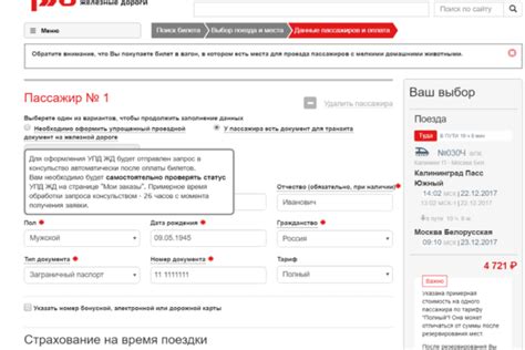 РЖД оформление билета по ФСС: основные моменты