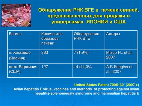 РНК - обнаружение: причины и последствия отсутствия информации