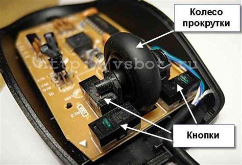 Работа мыши: как она устроена и для чего нужна