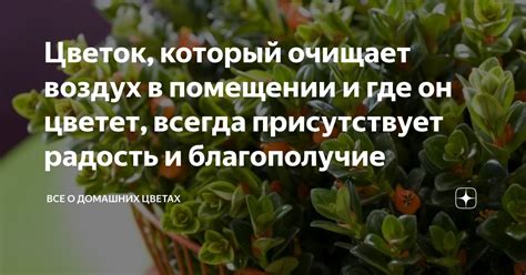 Радость и благополучие: толкование снов, где изобилие сладостей