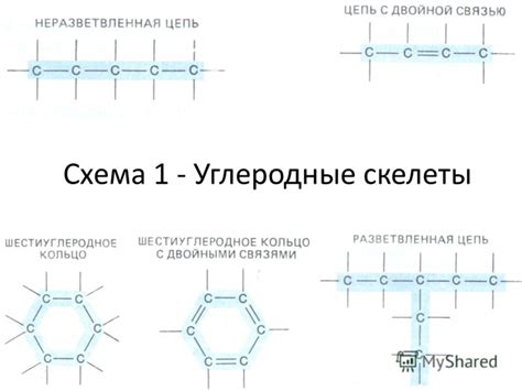 Разветвленный углеродный скелет: определение и примеры