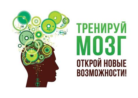 Развивать мозг: путь к успеху и позитивным изменениям