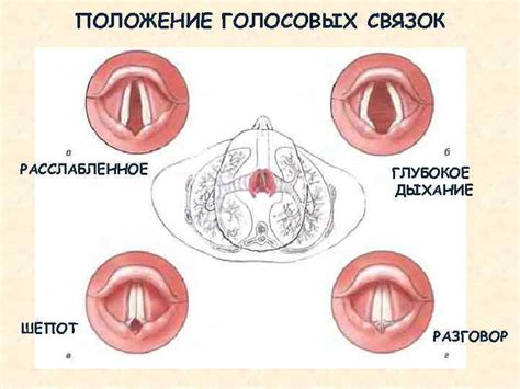 Развитие заболеваний голосовых связок