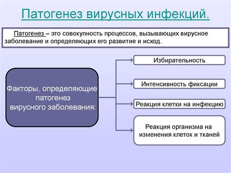 Развитие инфекций