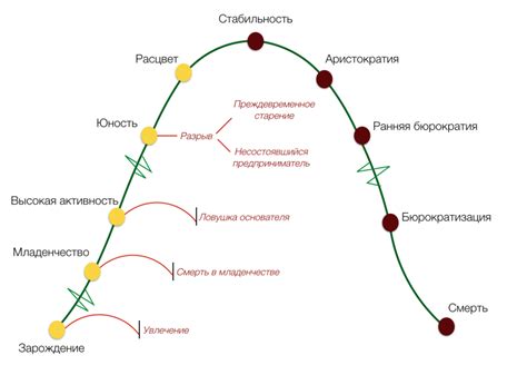 Развитие и жизненный цикл