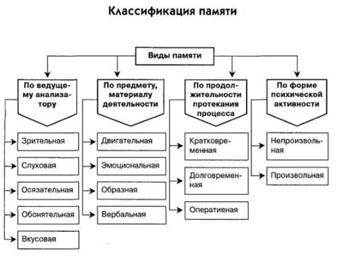 Развитие памяти девичьей и способы ее сохранения