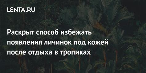 Разгадка загадочных сновидений: необычные появления овидных личинок под кожей