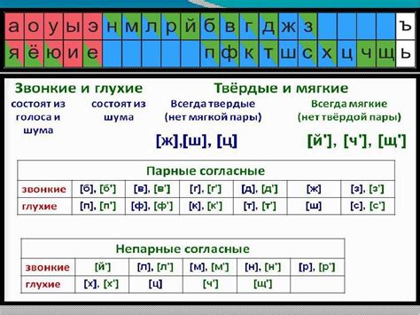 Разгадка тайны: как мягкие согласные правят русским языком