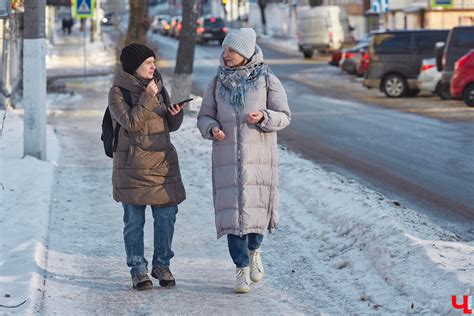 Разгадываем тайны: толкование снов, в которых появляются полярные медведи в пещерах