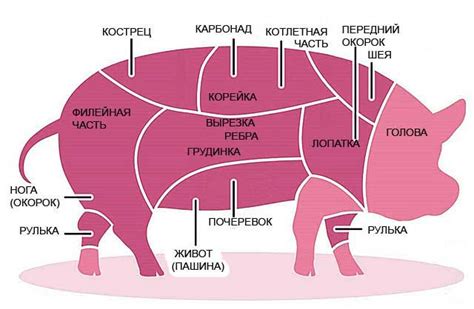 Разделение мяса на части