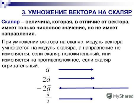 Раздел 1: Значение смены вектора