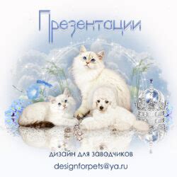 Раздел 1: Роль помета у кошек