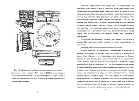 Раздел 1. Определение понятия "эмбрионов поделилась"