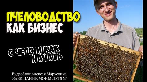 Раздел 2: Пасекарство как процесс: от выбора улья до разведения пчел