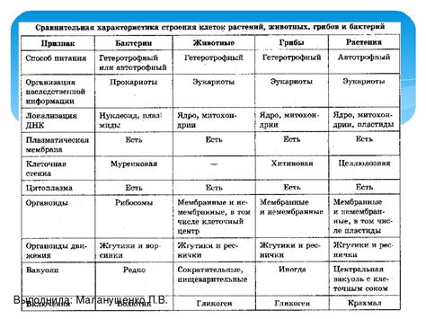 Раздел 2: Различия специфического признака и общего признака