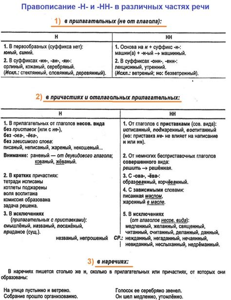 Раздел 2: Сущность Нн