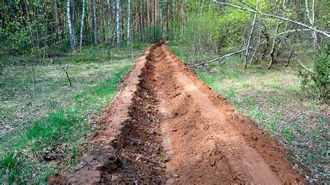 Раздел 2. Принципы действия минерализованной полосы