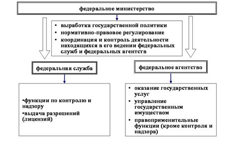 Раздел 3: Виды обличения власти в современном мире