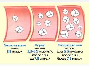 Раздел 3: Результаты гликемического профиля