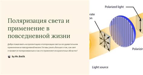 Раздел 4: Применение в повседневной жизни