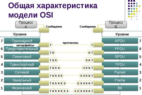 Раздел 5: Примеры протоколов и систем идентификации оборудования