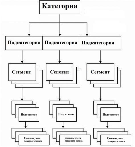 Раздел 5: Примеры успешного использования товарных категорий