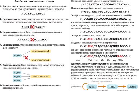 Раздел 6: Практическое применение вырожденного генетического кода