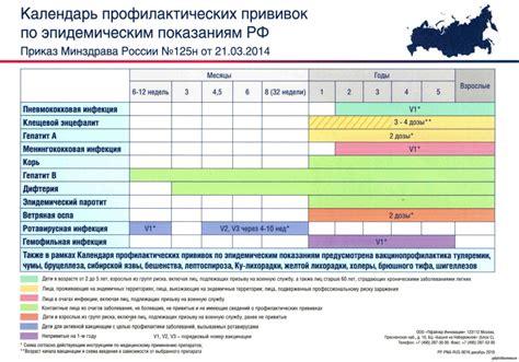 Раздел 6: Список необходимых прививок