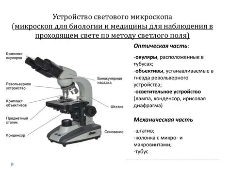 Разжился пеньковым галстуком: что это значит и как его носить?