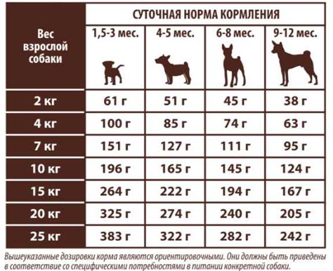 Различие значения сна о собаке в зависимости от жизненных ситуаций и обстоятельств