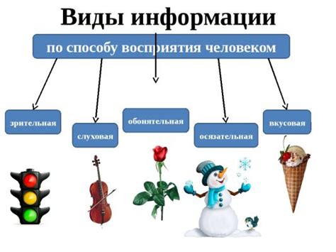 Различия во восприятии информации