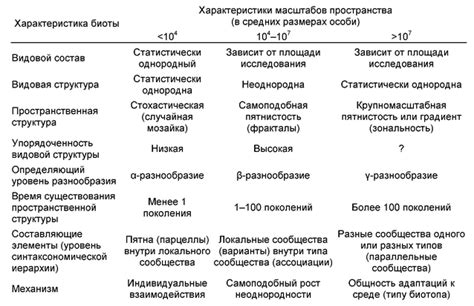 Различия в восприятии времени