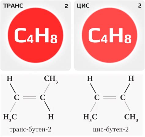 Различия между "цис" и "транс" людьми