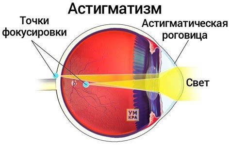 Различия между обычным и истинным зрением