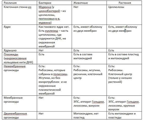 Различия между цинусом и цимусом