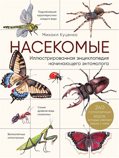 Различия повторяющихся мечтаний о насекомых от других типов снов