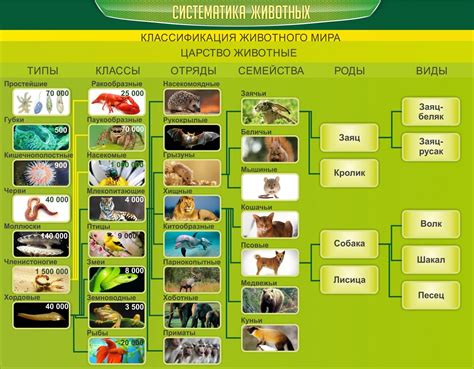 Различные аспекты определения животных