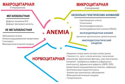 Различные аспекты плохого усвоения железа