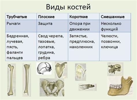 Различные виды габелы